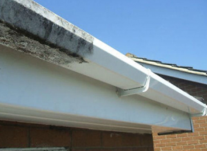 Fascia guttering and soffet cleaning